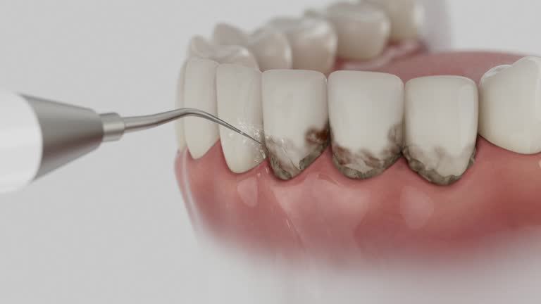 Reliable Dental contractor in Trent Woods, NC by Dentist Open Now